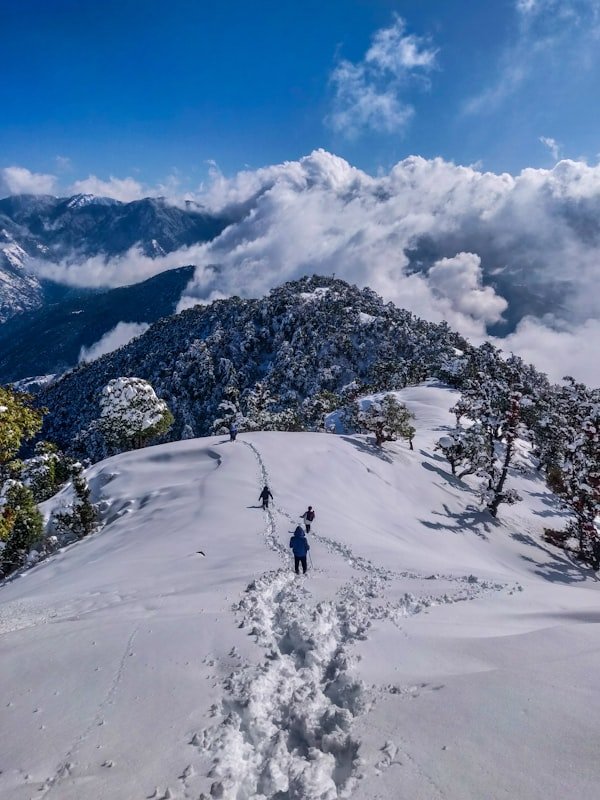 Kulu - Manali